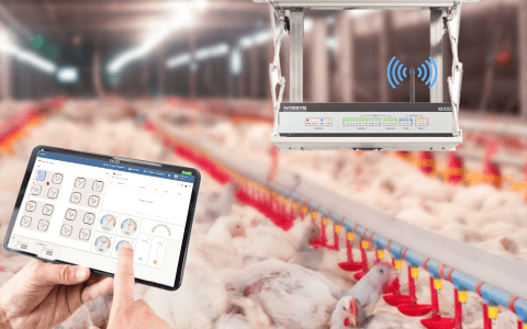 Cloud-Based Smart Poultry that Enhances Productivity, Saves Energy, and Build a Better Planet
