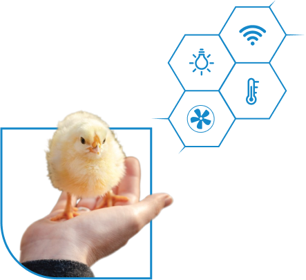 Smart Poultry Farm Necessary Equipment