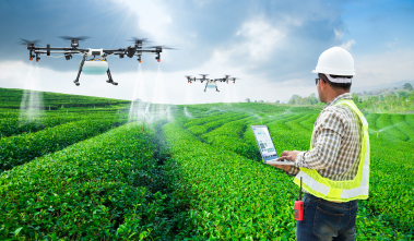 Smart Agriculture