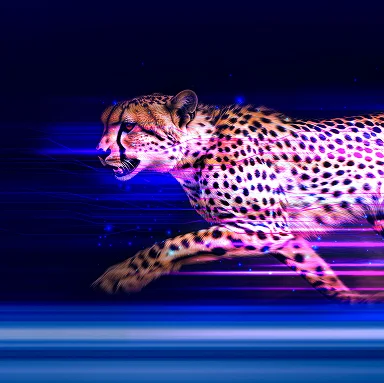 Private 5G Express
